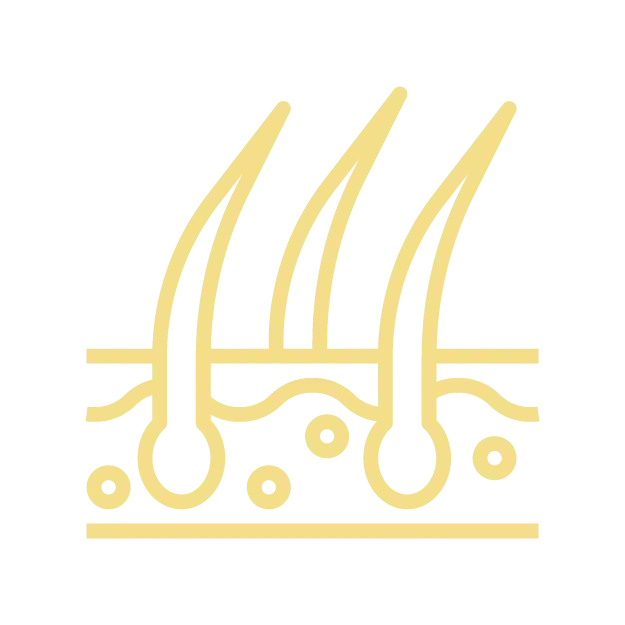 HORGAN_ICON RAMBUT.webp